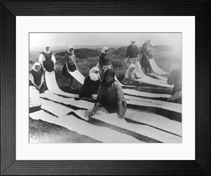 Framed Print : Tissue Manufacture Framed Print : Tissue Manufacture
