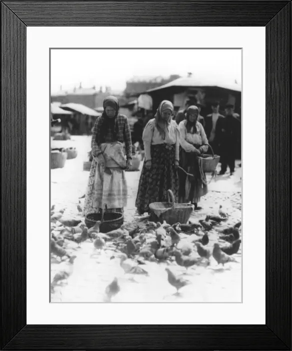 Framed Print : Pigeon Feeding - Moscow Framed Print : Pigeon Feeding - Moscow