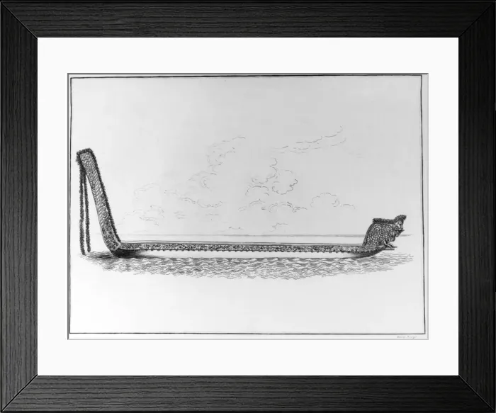 Framed Print : War Canoe from New Zealand Framed Print : War Canoe from New Zealand