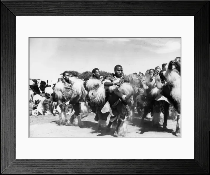 Framed Print : Zulu Dancers / Tresses Framed Print : Zulu Dancers / Tresses