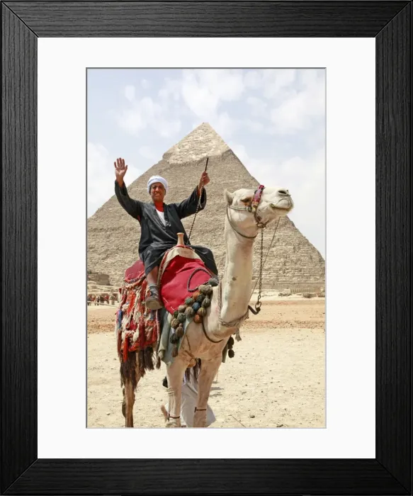 Framed Print : Camel and Pyramid of Khafre in Cairo, Egypt Framed Print : Camel and Pyramid of Khafre in Cairo, Egypt