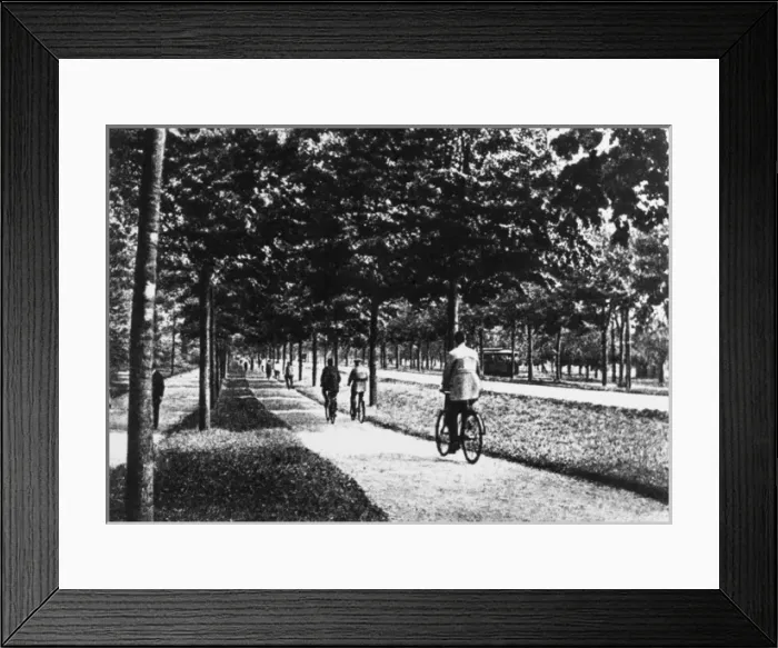 Framed Print : Road reserved for use of cyclists, Germany Framed Print : Road reserved for use of cyclists, Germany
