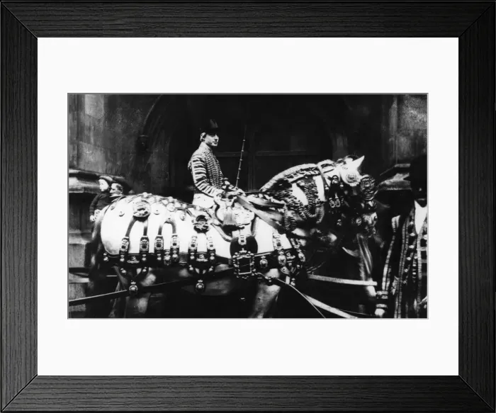 Framed Print : Kings State Harness for State Coach Framed Print : Kings State Harness for State Coach