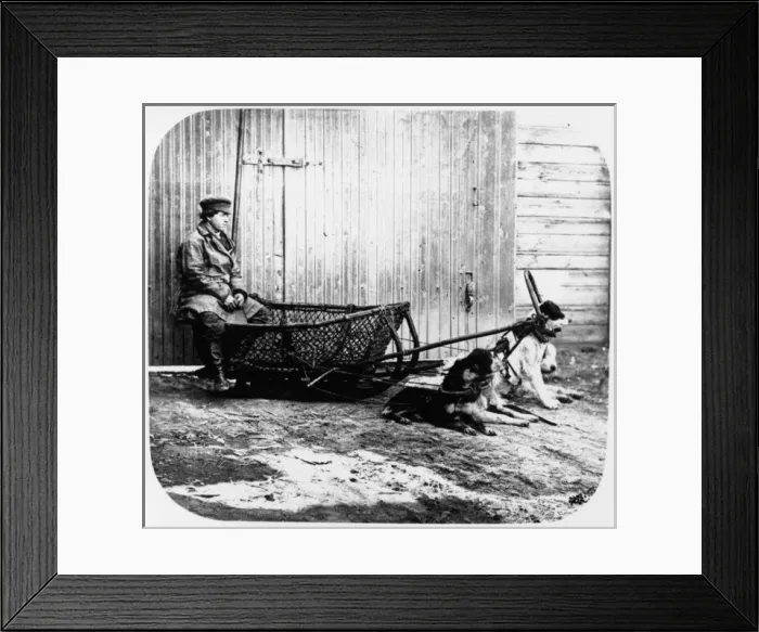 Framed Print : Fishermans Sledge - Pulled by Dogs Framed Print : Fishermans Sledge - Pulled by Dogs