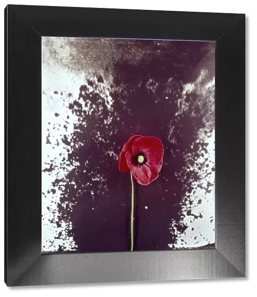 Poppy superimposed on mine explosion, WW1