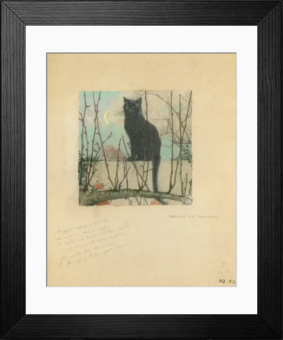 Framed Print : Black cat in garden by Muriel Dawson Framed Print : Black cat in garden by Muriel Dawson