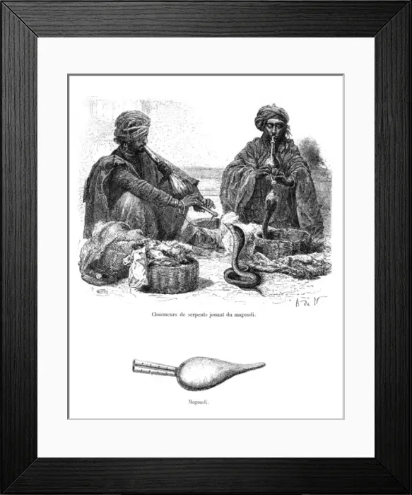 Framed Print : Magondi music used by snake charmers Framed Print : Magondi music used by snake charmers