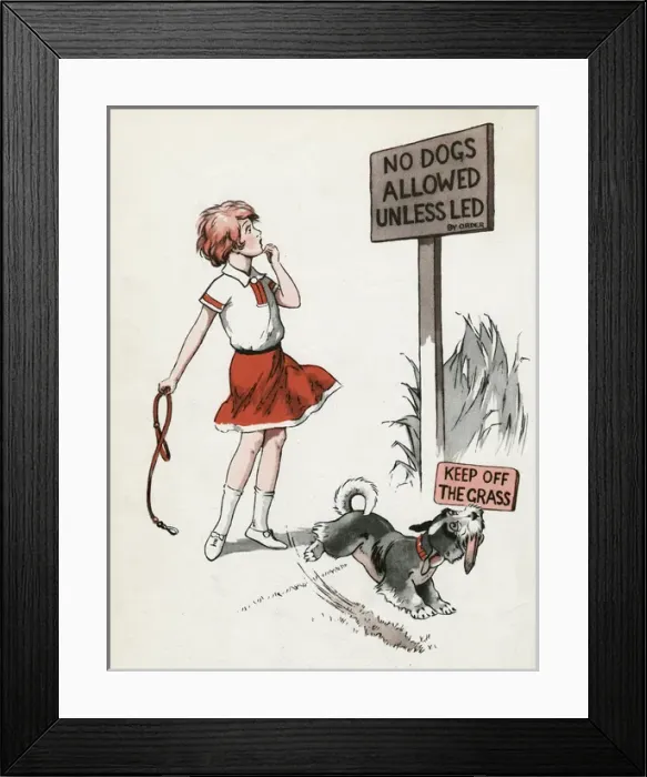 Framed Print : Jeek the puppy in the new park Framed Print : Jeek the puppy in the new park