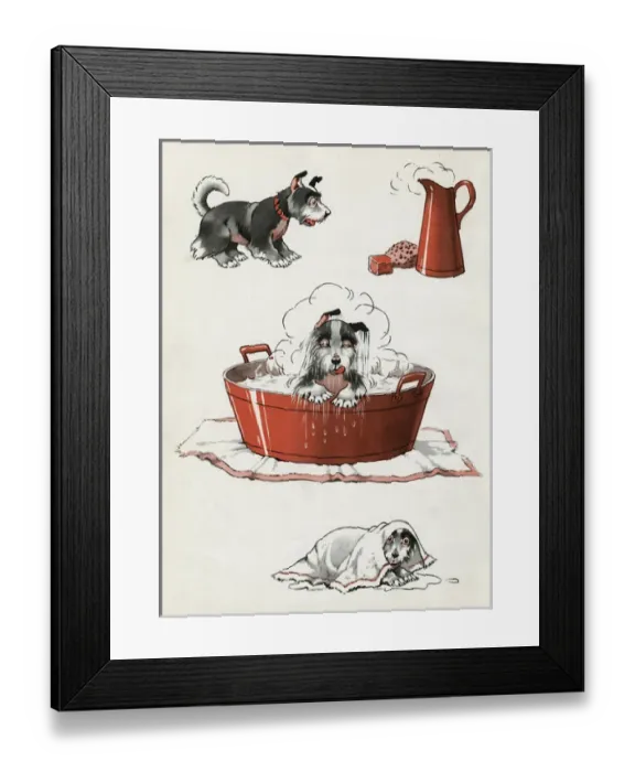 Framed Print : Jeek the puppy on bath day Framed Print : Jeek the puppy on bath day