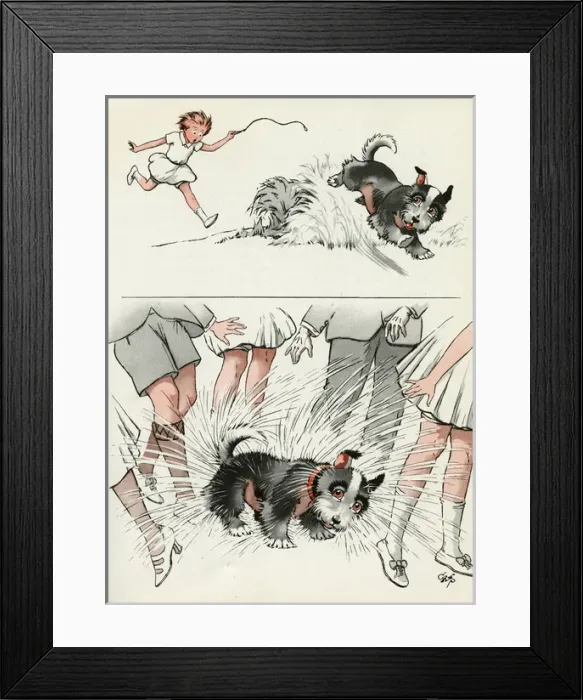 Framed Print : Jeek the puppy gets wet in the lake Framed Print : Jeek the puppy gets wet in the lake