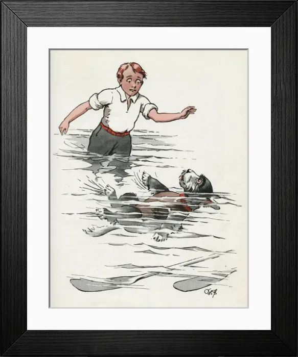 Framed Print : Jeek the puppy rescued from the water Framed Print : Jeek the puppy rescued from the water