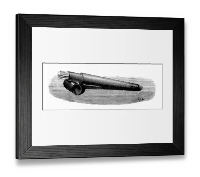 Framed Print : Larding needles Framed Print : Larding needles
