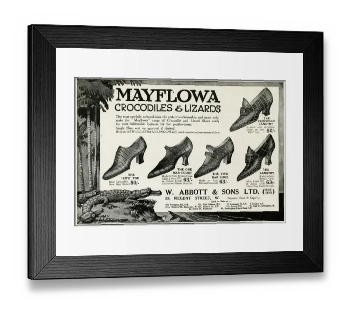 Framed Print : Advert for Mayflowa crocodile and lizard womens shoes 1923 Framed Print : Advert for Mayflowa crocodile and lizard womens shoes 1923