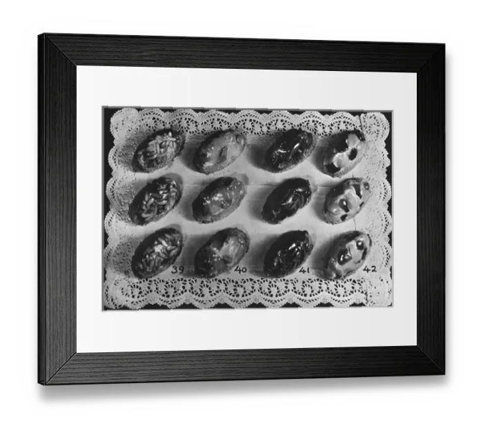 Framed Print : Glace Cream Bonbons Framed Print : Glace Cream Bonbons