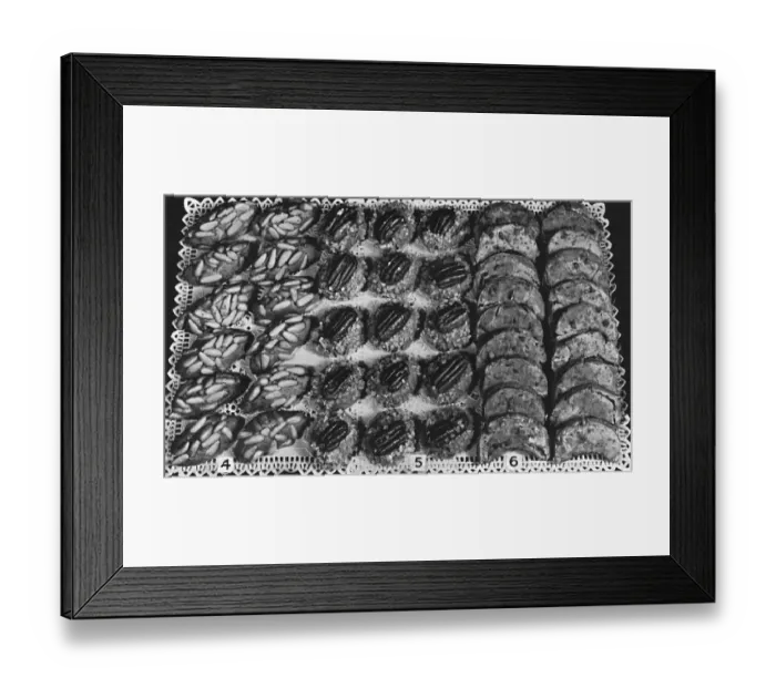 Framed Print : Dessert Macaroons and Tea Breads Framed Print : Dessert Macaroons and Tea Breads