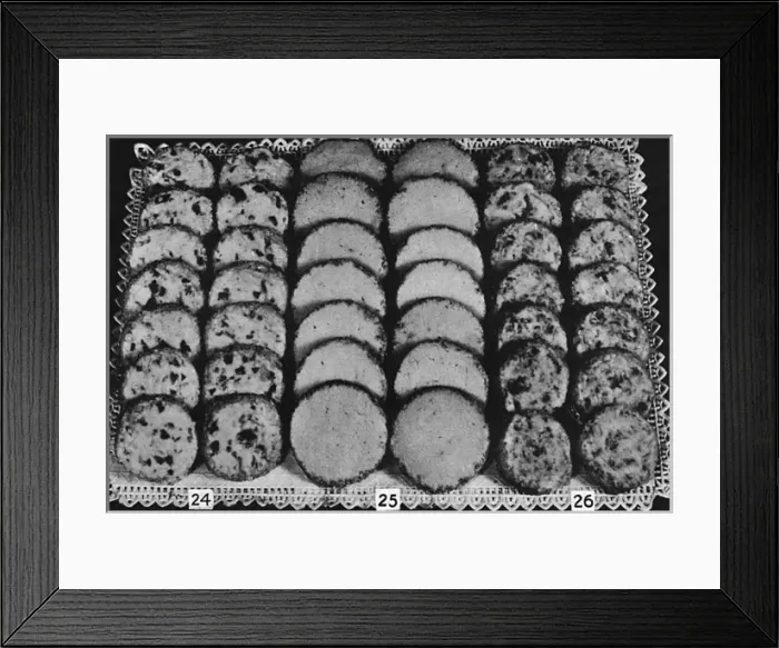Framed Print : Dessert Macaroons and Tea Breads Framed Print : Dessert Macaroons and Tea Breads