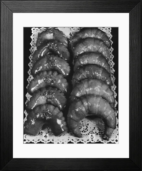 Framed Print : Danish Pastry Specialties Framed Print : Danish Pastry Specialties