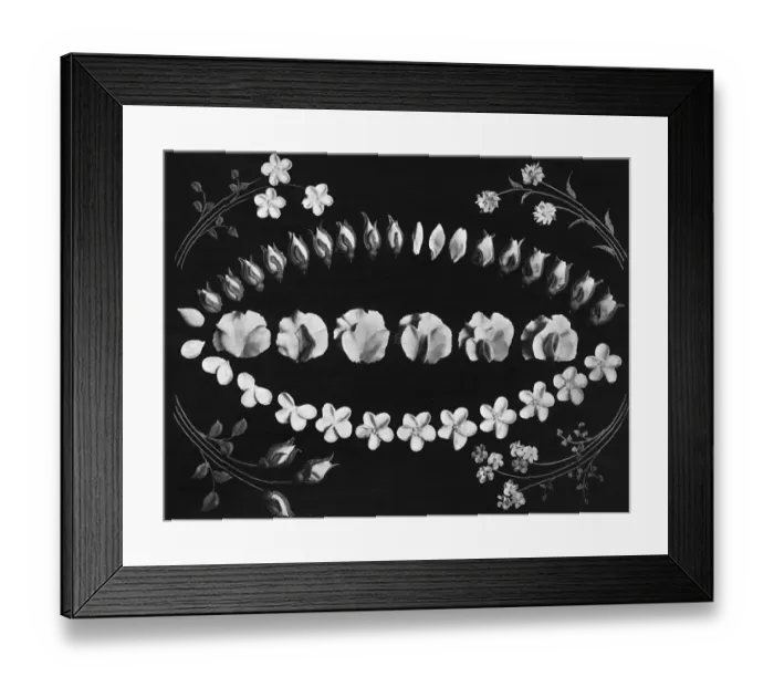 Framed Print : Cake design, flower making Framed Print : Cake design, flower making