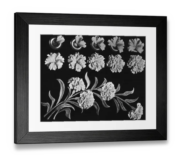 Framed Print : Cake design, flower making Framed Print : Cake design, flower making