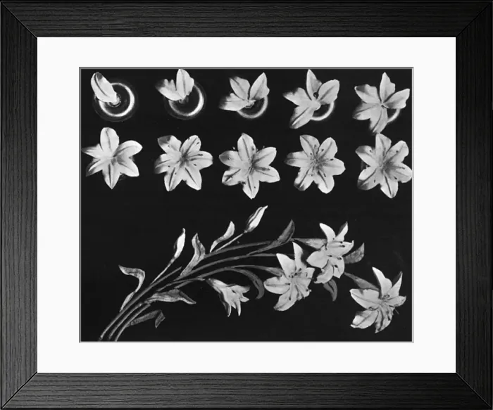 Framed Print : Cake design, flower making Framed Print : Cake design, flower making
