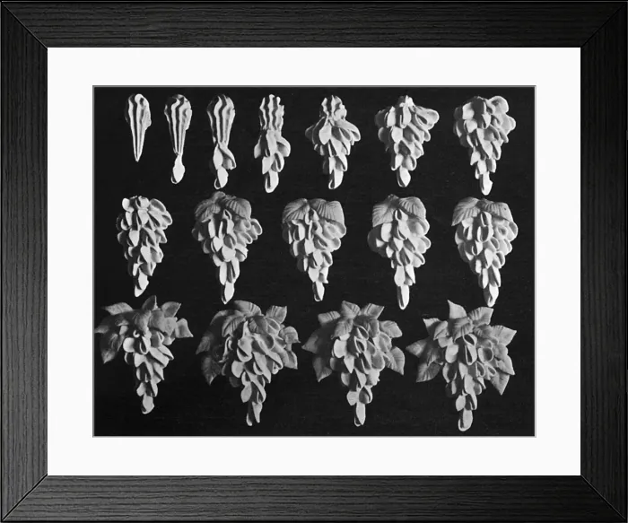 Framed Print : Cake design, flower making. Wistaria Framed Print : Cake design, flower making. Wistaria