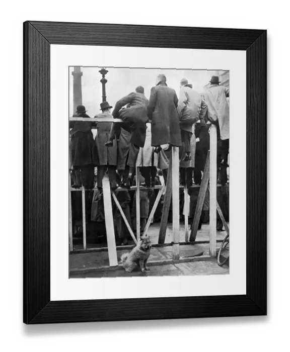 Framed Print : Spectators watch coronation rehearsal on wooden stands Framed Print : Spectators watch coronation rehearsal on wooden stands