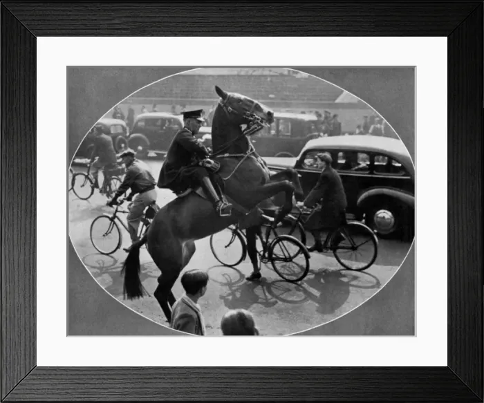 Framed Print : Accustoming a horse to traffic before the Coronation