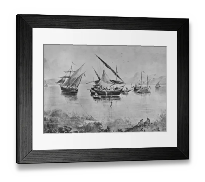 Framed Print : (insert) Framed Print : (insert)
