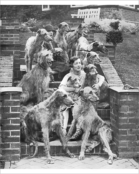Miss Richmond and her deerhounds