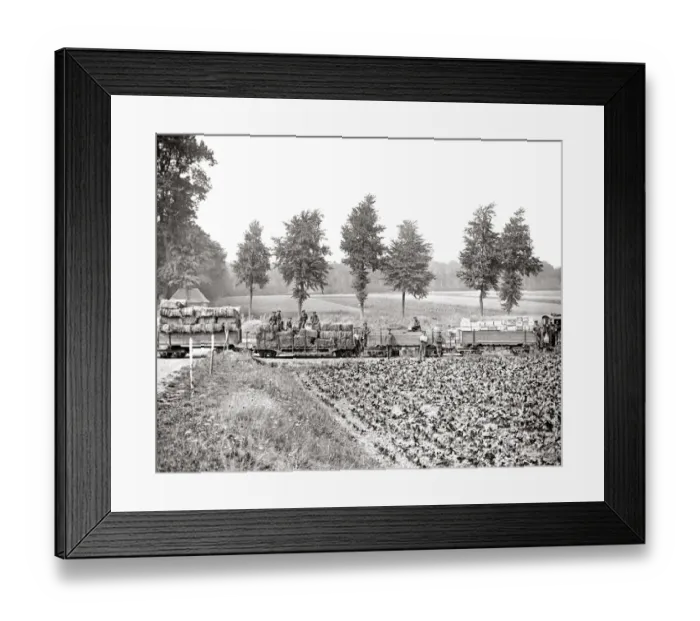 Framed Print : Railway with supplies for British troops, WW1 Framed Print : Railway with supplies for British troops, WW1