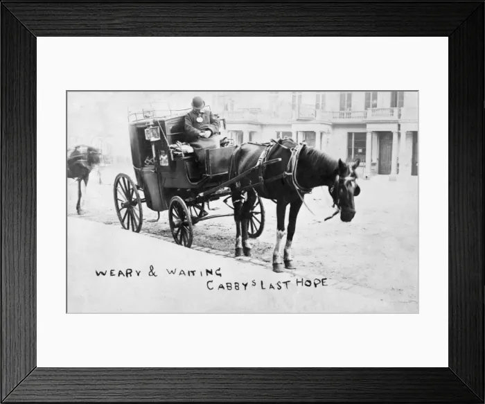 Framed Print : Asleep at the wheel Framed Print : Asleep at the wheel
