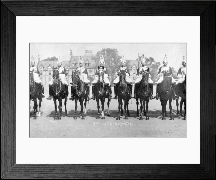 Framed Print : The 2nd Life Guards Framed Print : The 2nd Life Guards