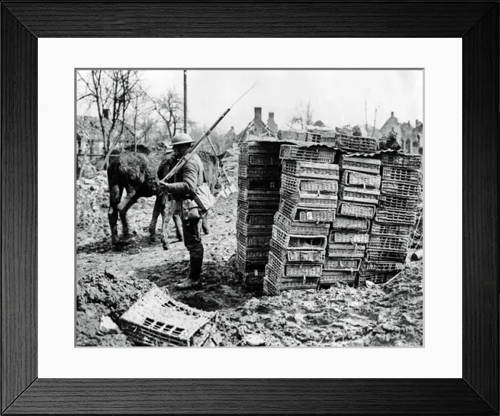 Framed Print : British soldier with improvised sentry box, WW1 Framed Print : British soldier with improvised sentry box, WW1