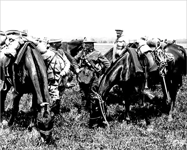 British and French troops grazing horses, WW1