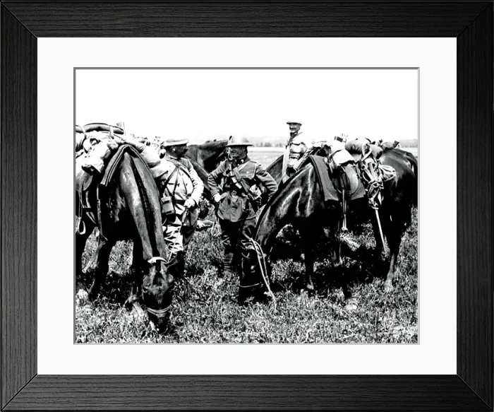 Framed Print : British and French troops grazing horses, WW1 Framed Print : British and French troops grazing horses, WW1