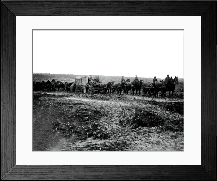 Framed Print : British ambulance and horses, Western Front, WW1 Framed Print : British ambulance and horses, Western Front, WW1
