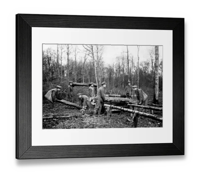 Framed Print : British troops transferring logs, Western Front, WW1 Framed Print : British troops transferring logs, Western Front, WW1