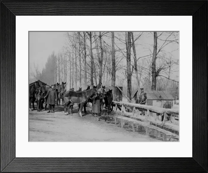 Framed Print : British soldiers with horses, Western Front, WW1 Framed Print : British soldiers with horses, Western Front, WW1