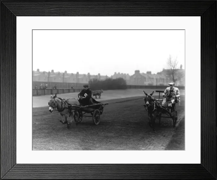 Framed Print : An action shot of donkey cart racing in London Framed Print : An action shot of donkey cart racing in London