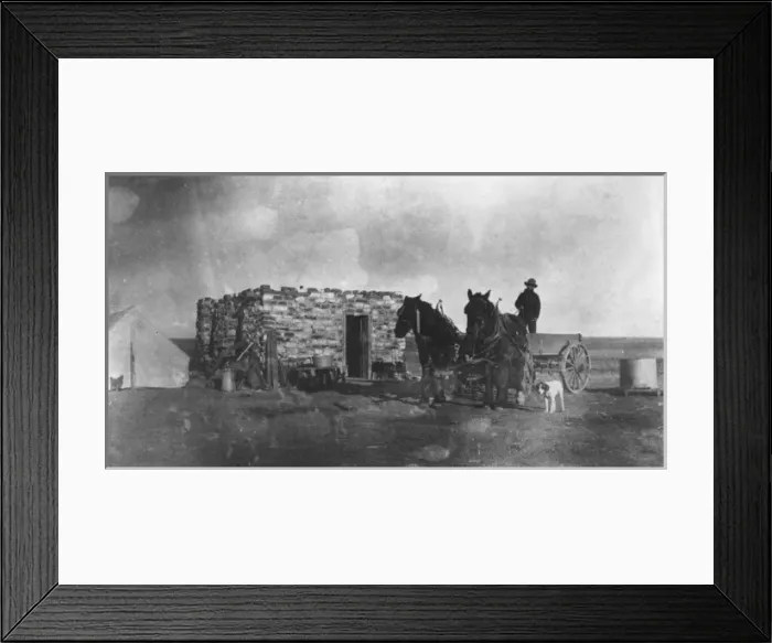 Framed Print : Life out in the American Prairie Framed Print : Life out in the American Prairie