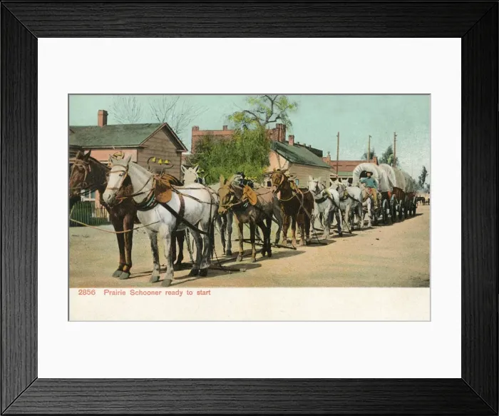 Framed Print : Prairie Schooner ready to start Framed Print : Prairie Schooner ready to start