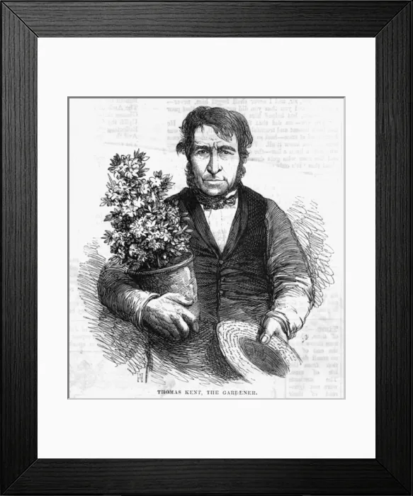 Framed Print : Thomas Kent, gardener Framed Print : Thomas Kent, gardener