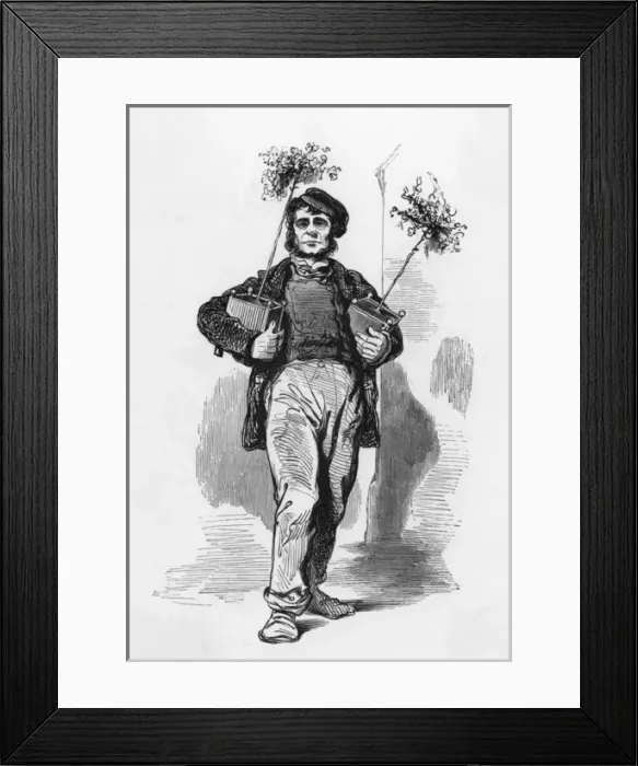 Framed Print : Gardener, Paris c. 1860 Framed Print : Gardener, Paris c. 1860