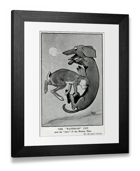 Framed Print : Cartoon, The Waterloo Cup, WW1 Framed Print : Cartoon, The Waterloo Cup, WW1