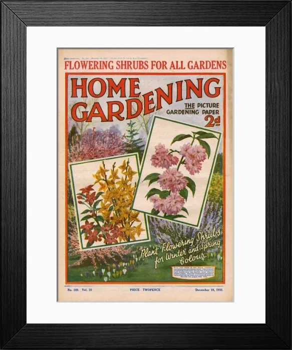 Framed Print : Home Gardening magazine, December 1932 Framed Print : Home Gardening magazine, December 1932