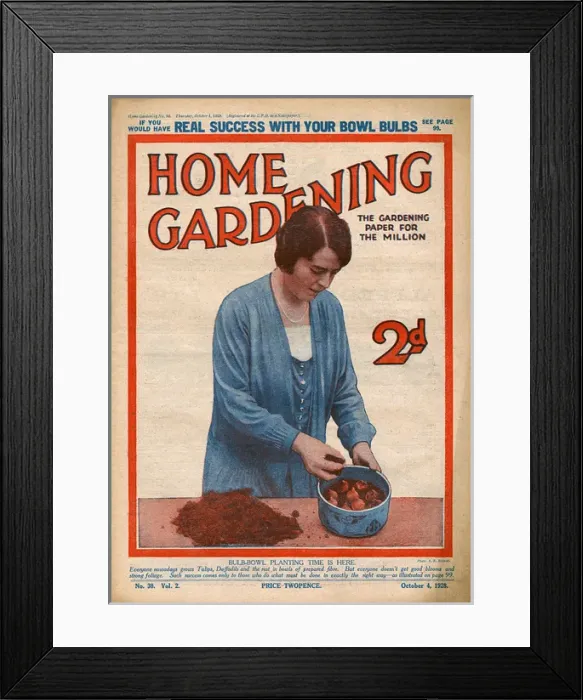 Framed Print : Home Gardening magazine, October 1928 Framed Print : Home Gardening magazine, October 1928