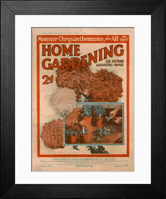 Framed Print : Home Gardening magazine, January 1932 Framed Print : Home Gardening magazine, January 1932