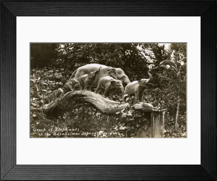 Framed Print : Bernheimer Japanese Garden, Santa Monica, USA Framed Print : Bernheimer Japanese Garden, Santa Monica, USA