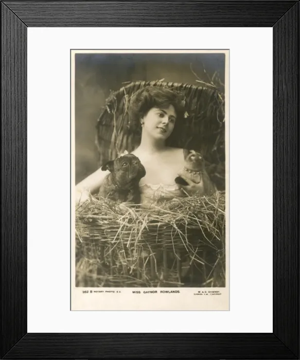 Framed Print : Gaynor Rowlands, performer, with cat and dog Framed Print : Gaynor Rowlands, performer, with cat and dog