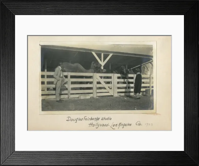 Framed Print : Camels at Douglas Fairbanks Studio, Hollywood, USA Framed Print : Camels at Douglas Fairbanks Studio, Hollywood, USA